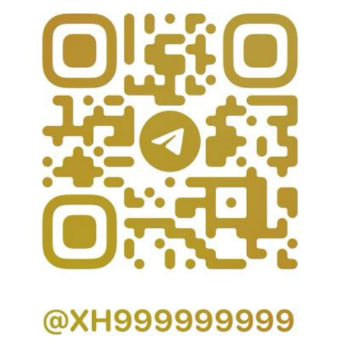 专业的TikTok广告代运营服务团队